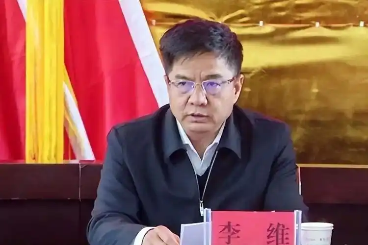 被免职八个月后,云南出版集团原董事长李维落马_新浪财经_新浪网