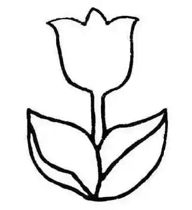 最美花朵简笔画