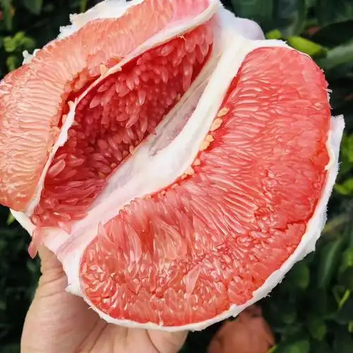 果汁四溅,清甜解渴~#红心柚 ##柚子 #红心柚子  #福建平和琯溪蜜柚