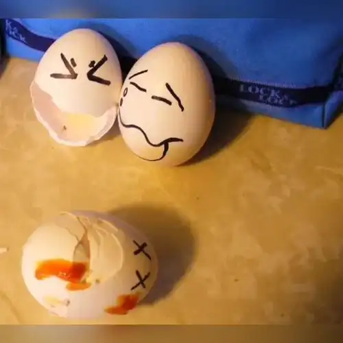 鸡蛋壳制作的精美手工作品