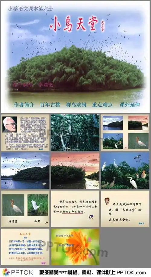 ppt内容鸟的天堂教学课件ppt,主要是了解作者的简介,理解课文的内容