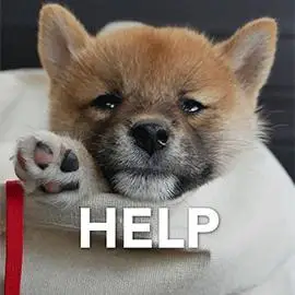 萌宠 狗 汪星人 help help 救命