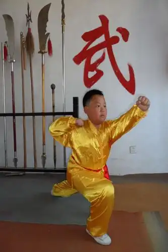 少林大金刚拳之 仆步亮掌正能量