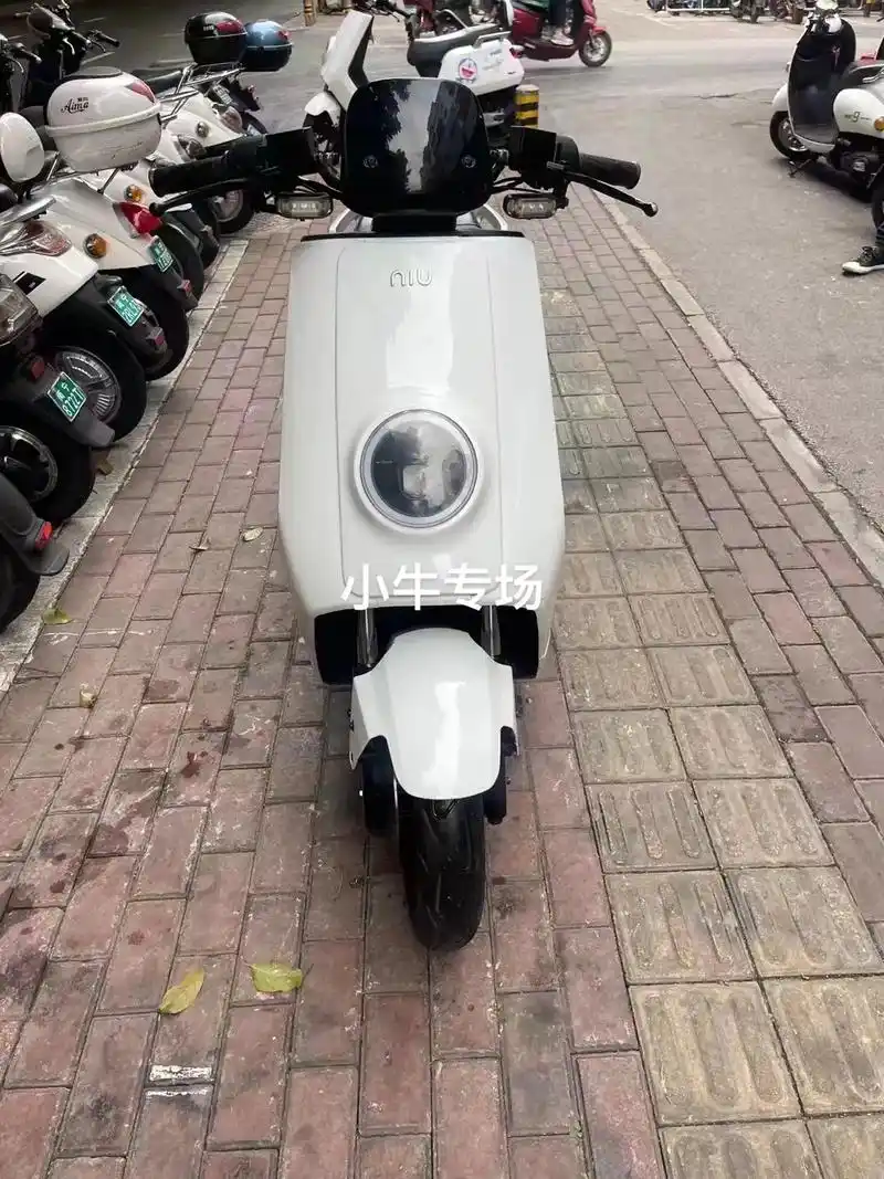 小牛n1s动力版,19年最后一批上牌,50安小牛直 - 抖音