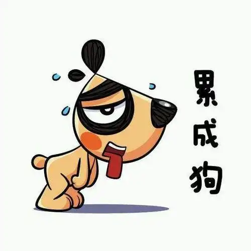 我发现我的朋友总爱说我狗