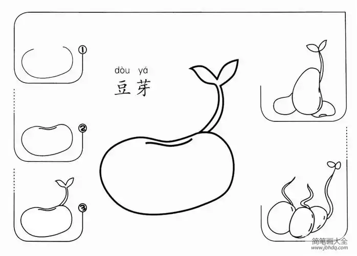 豆芽怎么画_其他植物简笔画-简笔画大全