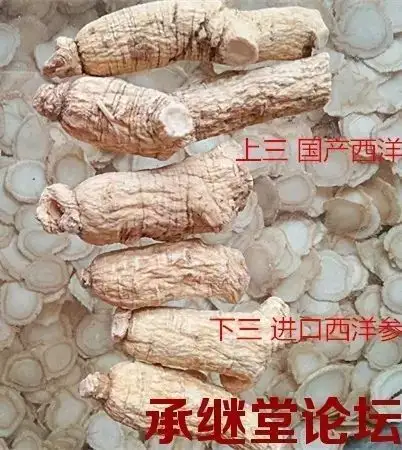西洋参鉴别图文