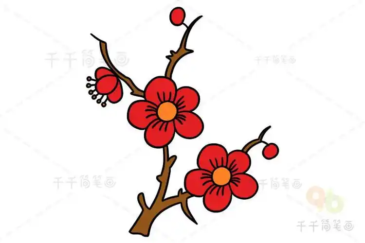 梅花花开顺序简笔画