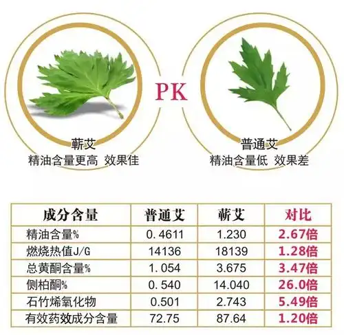 蕲艾,何以是艾中之王?-艾灸疗法-湖北蕲春蕲艾灸条批发网,李时珍故里