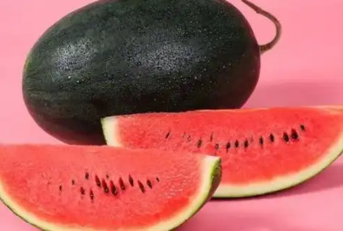 什么是黑美人瓜呢?如何挑选黑美人瓜呢?