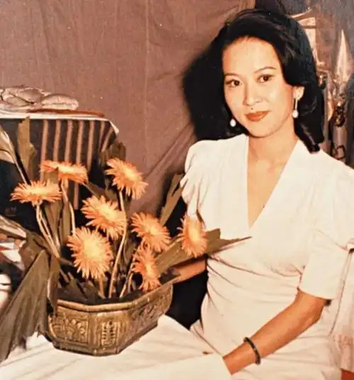 香江忆旧录豪门争产母子反目祥嫂生为他人死为他鬼的一生