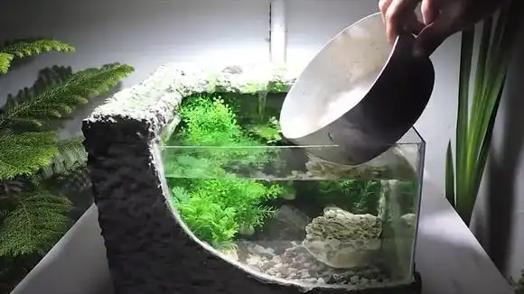 老外用水泥制作一个漂亮的鱼缸,还可以用它来养小鱼