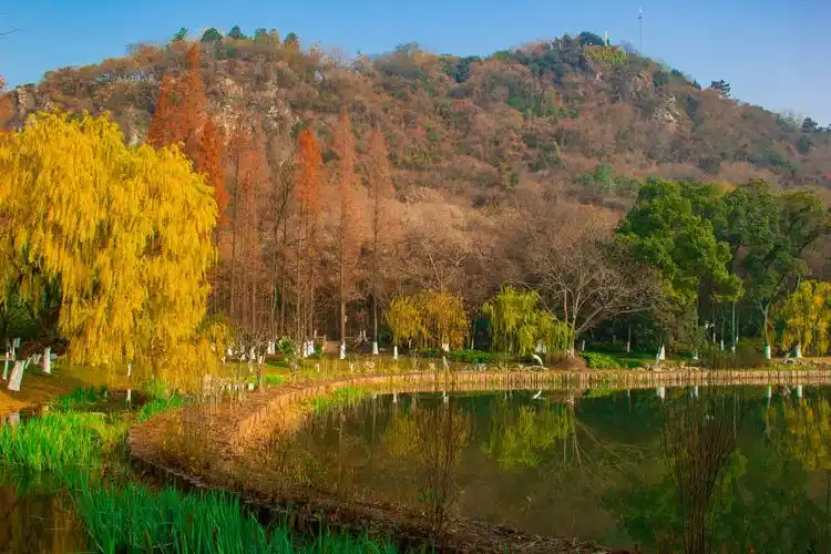 岁末游昆山,环骑阳澄湖(二) - 美篇