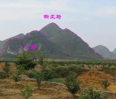 善德堂-杨公风水峦头学术中的天马砂图