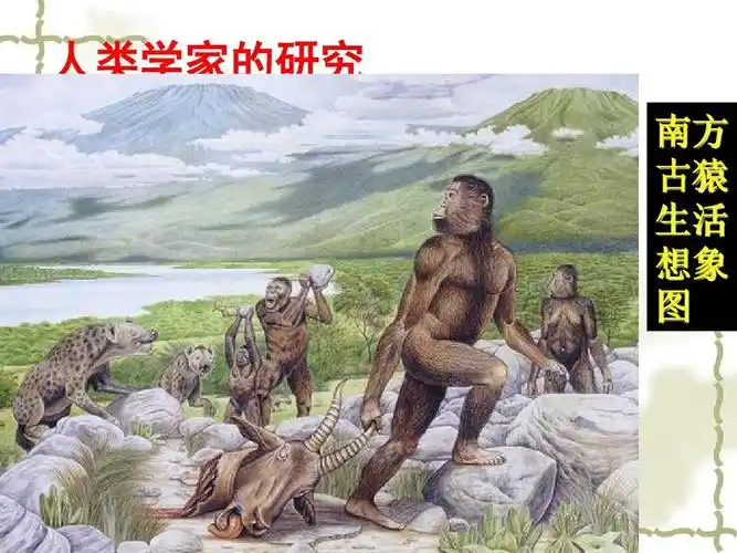 南方 古猿 生活 想象