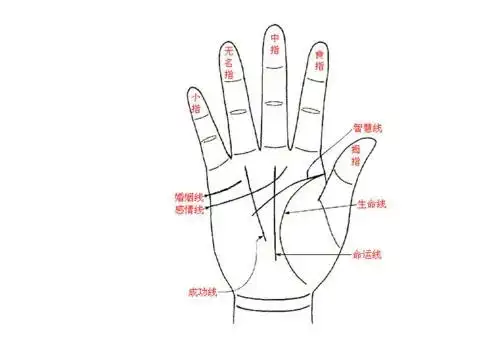 手上的三条线分别代表什么?-宗道门看风水算命平台