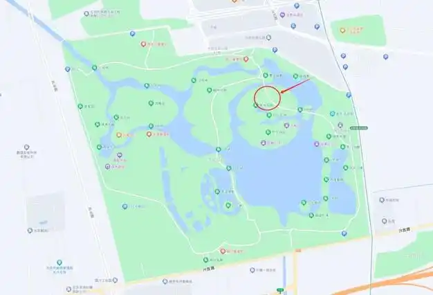 念坛公园银杏林位置大家想拍银杏的话,可以沿着念坛公园东门一直往西