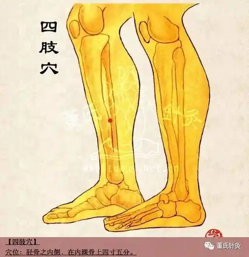 董氏针灸 | 【穴位篇·四肢,肾关】