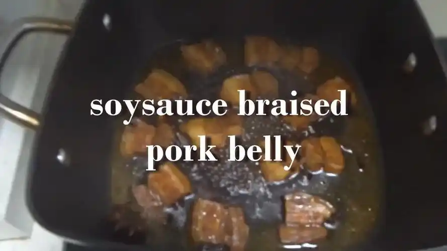 绝佳下饭菜豉油五花腩酱油五花肉粤语字幕