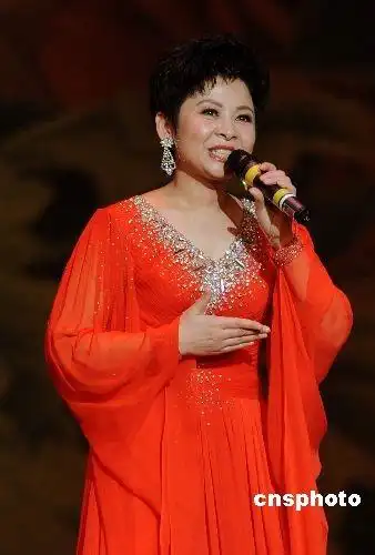 董文华洛杉矶唱响"春天的故事"获雷鸣般掌声