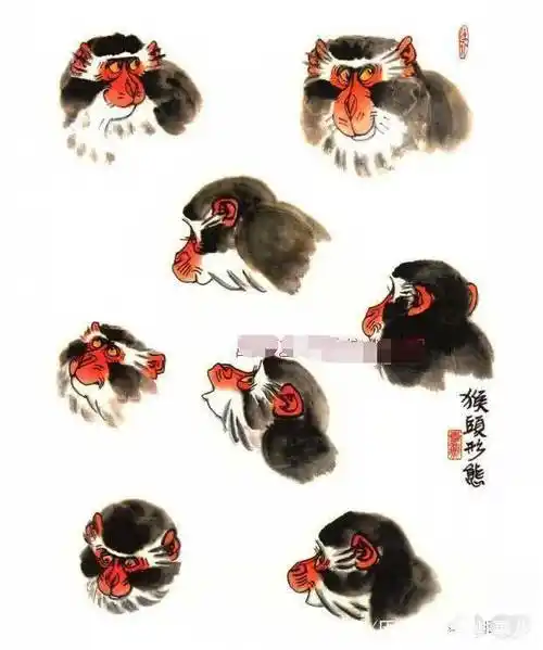 写意画猴技法猴的结构基本形态详解写意画猴步骤示范