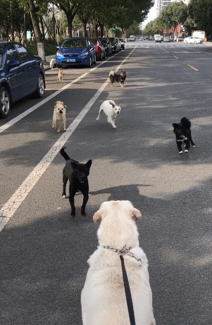 301_461竖版 竖屏gif 动态图 动图