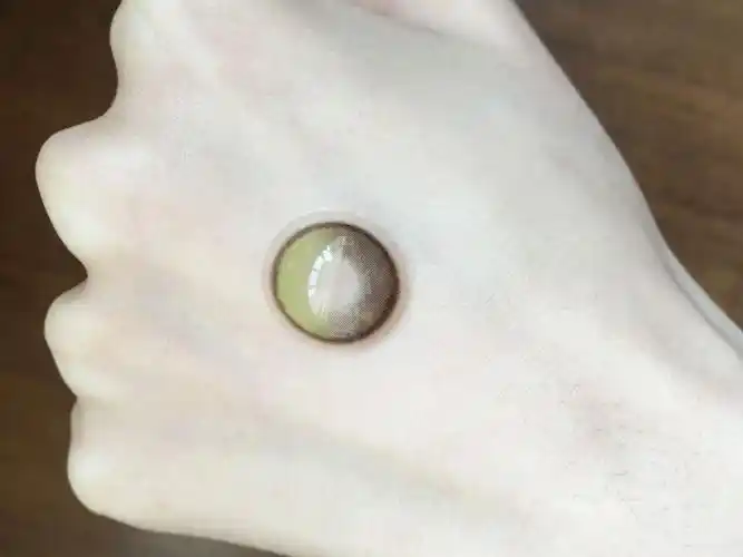 一不小心把眼珠子扣出来了01