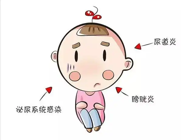 尤其是女宝,外阴部由于生理的原因更容易被感染,丁点大的人患上尿道炎