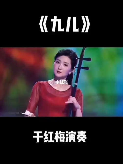 二胡版九儿