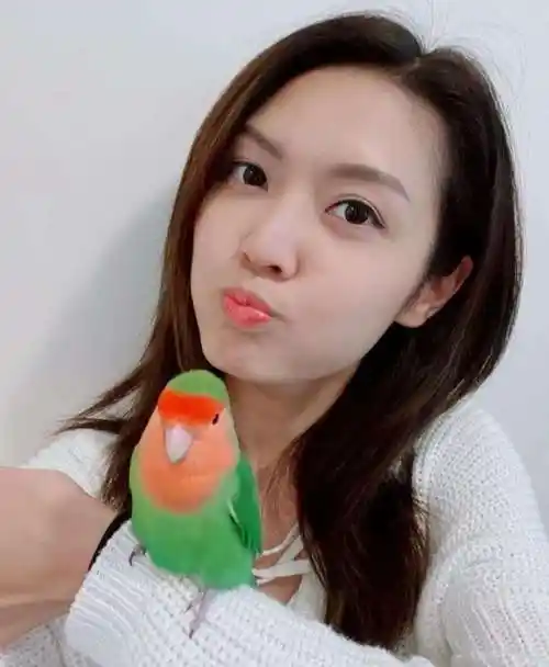 前港姐冠军把其当家人,坦言眼泪至今不停流_陈庭欣_宠物_什么