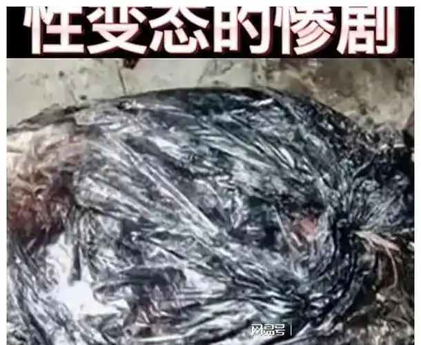拾荒大妈发现16块尸块装着女性的一条大腿现场情景惨不忍睹