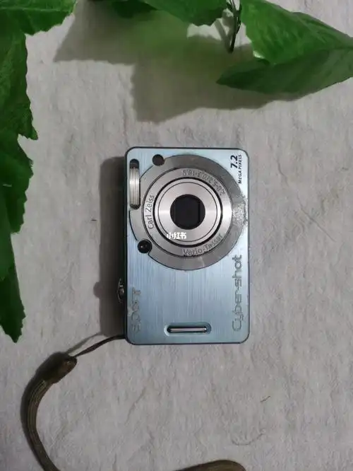 索尼w55神仙浅蓝色