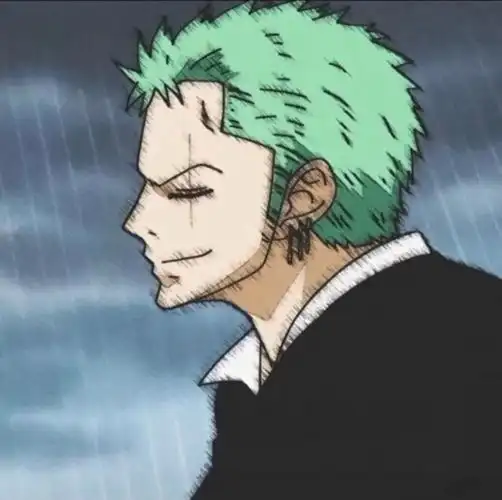 有没有超帅的索隆头像,分享一下. - 知乎