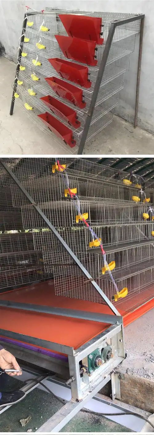 供应批发鹌鹑笼具 6层12位阶梯鹌鹑笼子 鸟类镀锌鹌鹑养殖笼