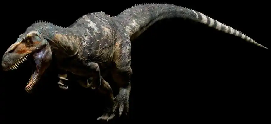 p>蛮龙属于 a target="_blank" href="/item