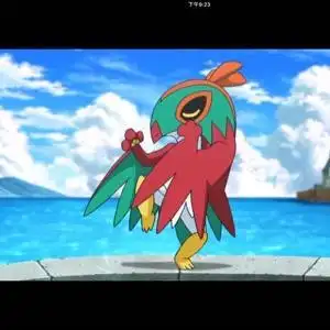 精灵宝可梦战斗飞鸟简笔画