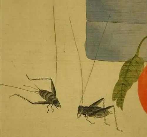 就是那一只蟋蟀