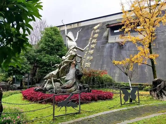 成都华希昆虫博物馆上榜全国科普教育基地