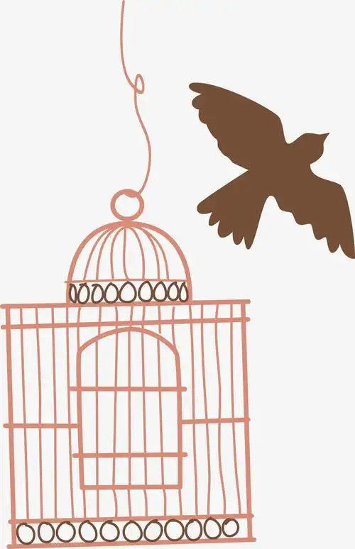 树藤鸟笼玫瑰素材