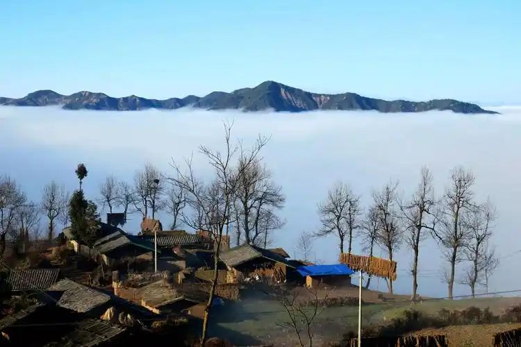 专栏诗人骨头里的江河文吉史巫芝四川