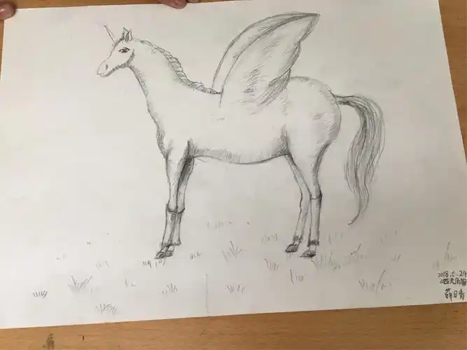 润德吴老师周日素描《马》