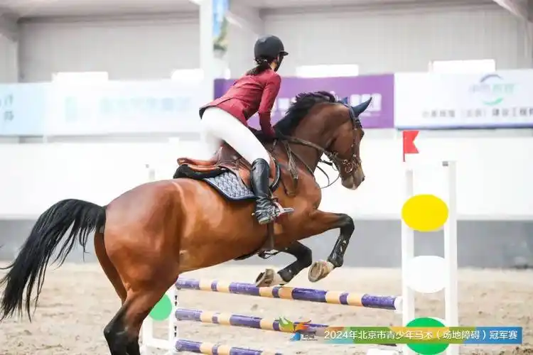 张颖昕 策骑 geraldo张颖昕 策骑iberia张子金 策骑 mambo徐子骁 策骑