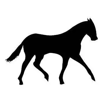 黑色,斑马,剪影,矢量