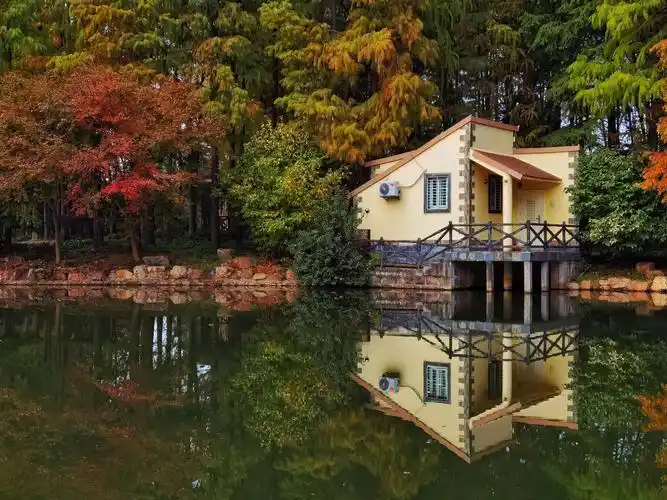 上海共青国家森林公园