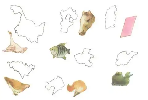 本图是以不同的动物代表我国不同的省份,也是形象记忆