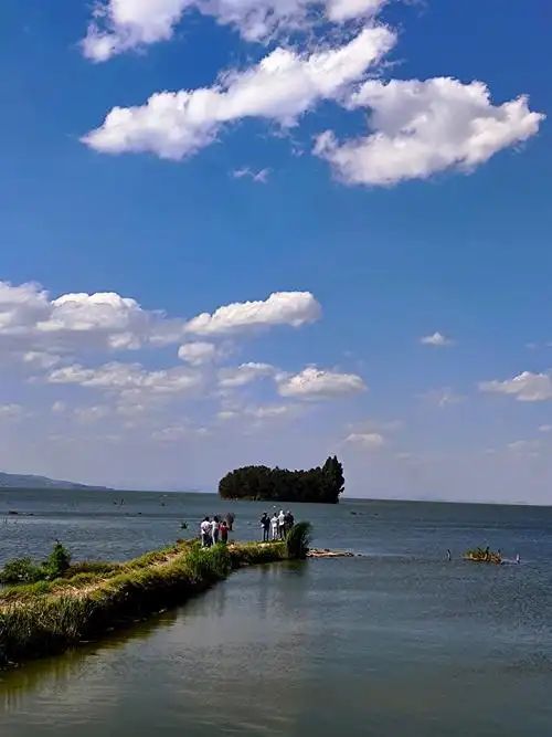 昆明南滇池国家湿地公园游玩攻略