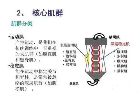 核心肌群丨李发彬金鸡独立单腿举重的背后是强大的核心力量