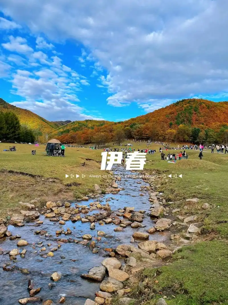 「伊春」小兴安岭9372 小兴安岭我来啦!