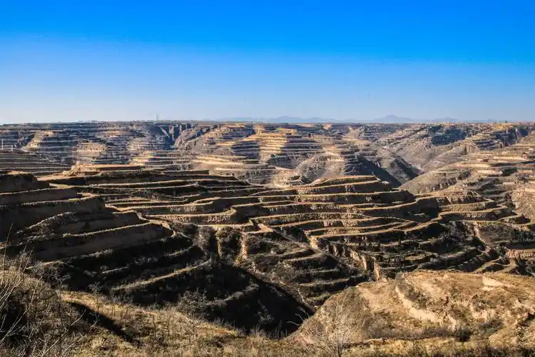 黄土高原除了苦难,还有亿万人民的口福