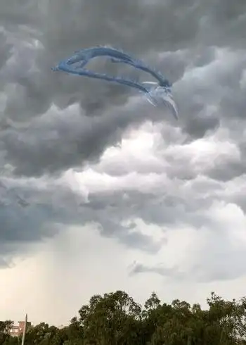 无意中在郊区快下雨的时候拍到的世界上真的有龙吗太震撼了